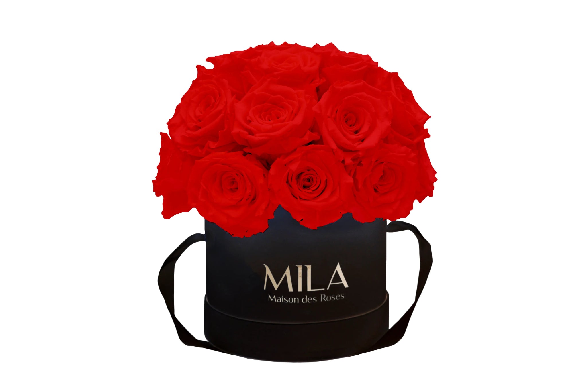 Mila Classique Small Dome - Mila Rose