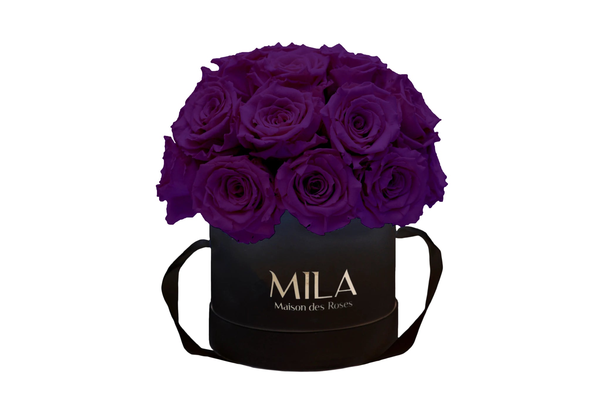 Mila Classique Small Dome - Mila Rose