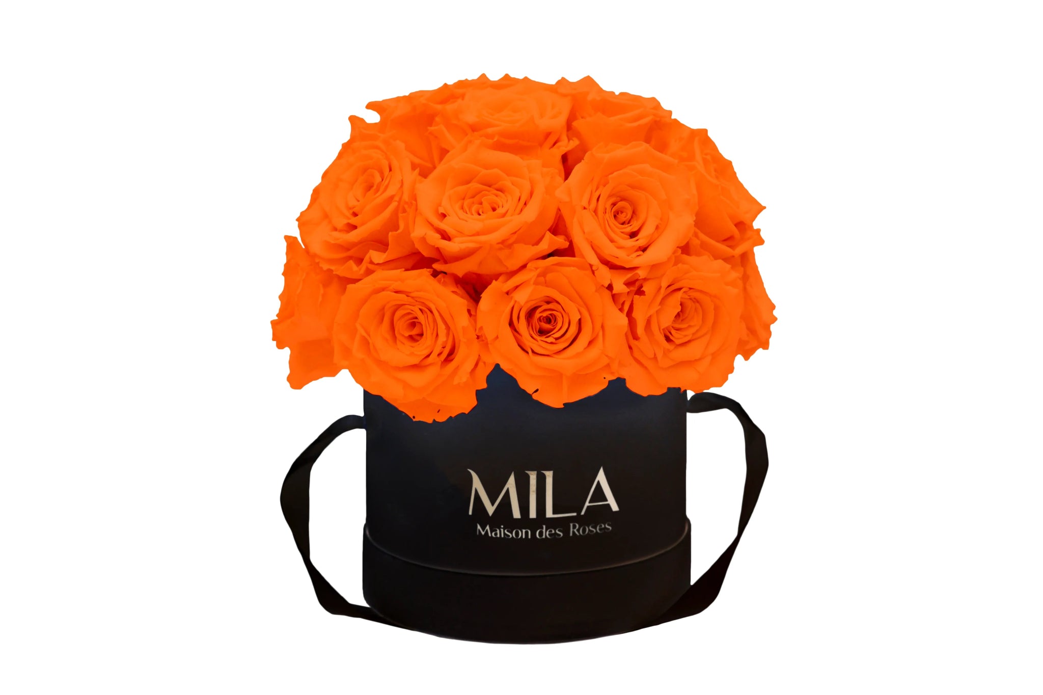 Mila Classique Small Dome - Mila Rose
