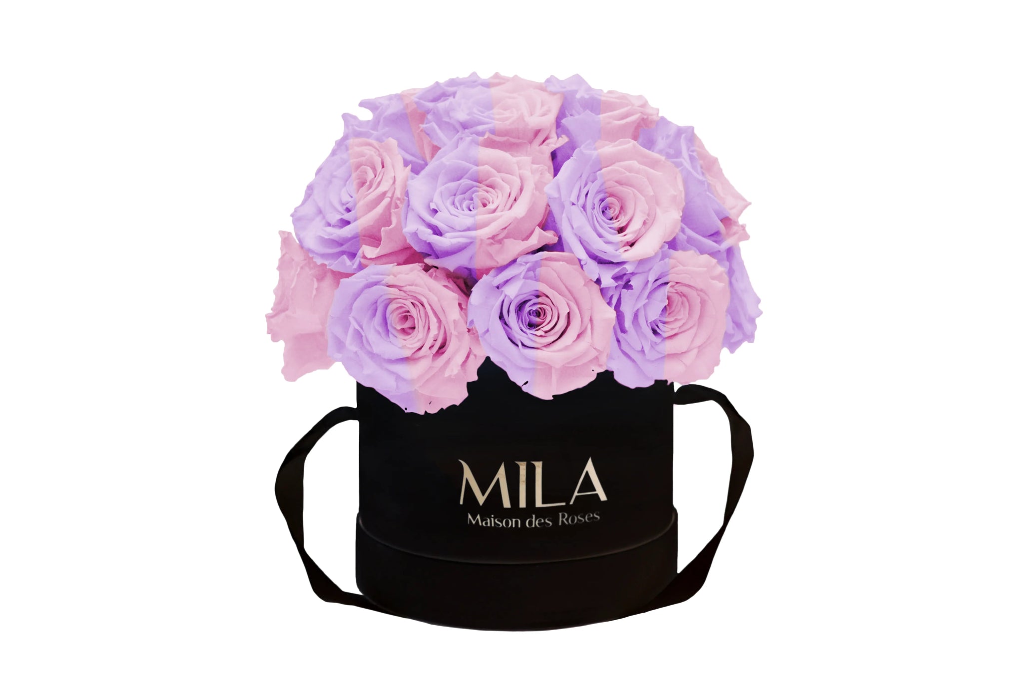Mila Classique Small Dome - Mila Rose