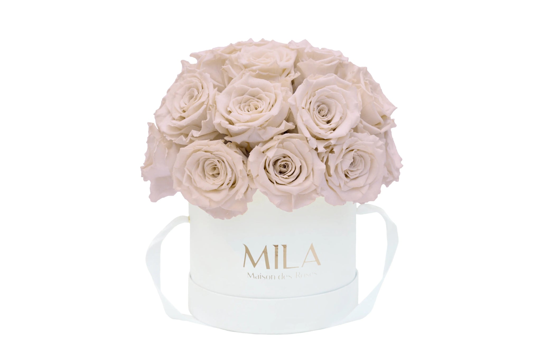 Mila Classique Small Dome - Mila Rose