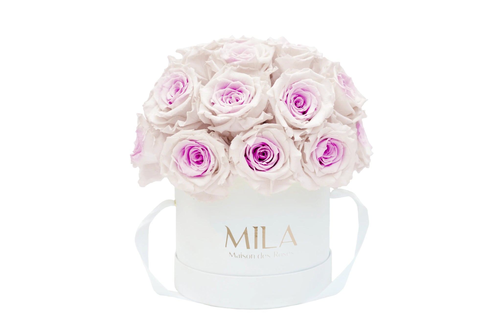 Mila Classique Small Dome - Mila Rose