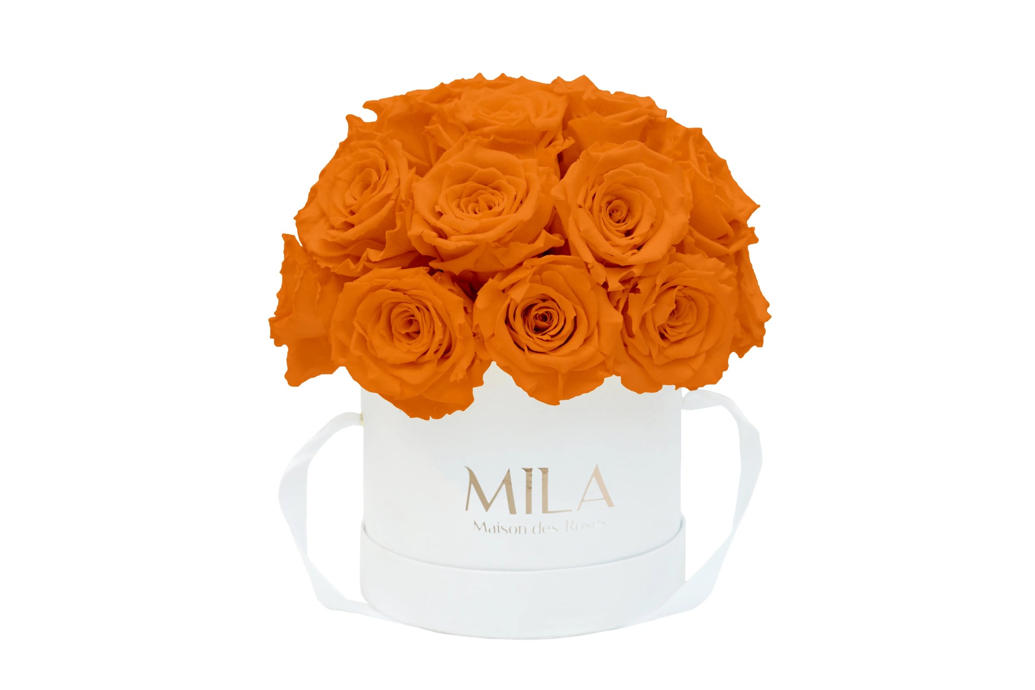 Mila Classique Small Dome - Mila Rose
