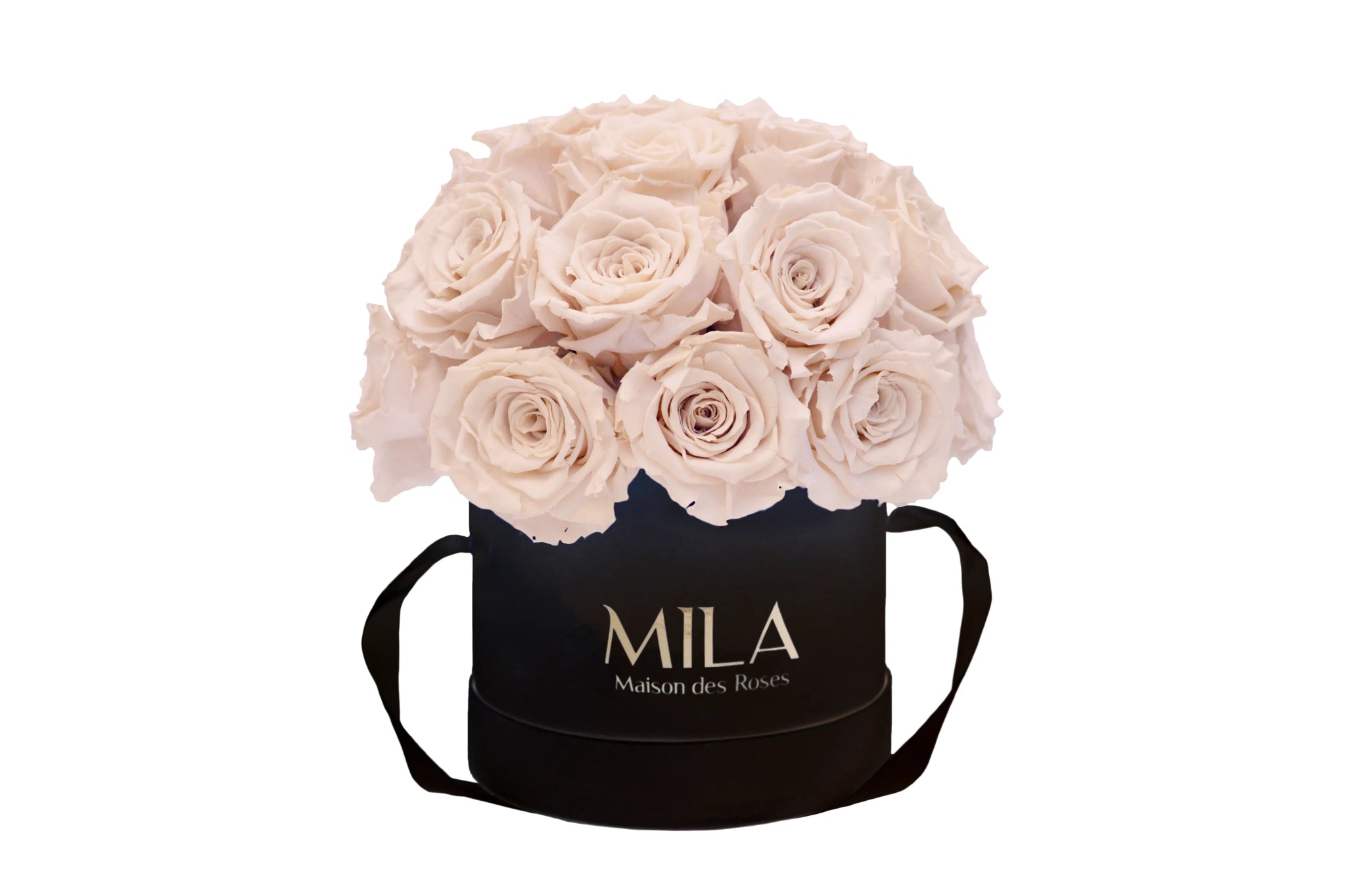 Mila Classique Small Dome - Mila Rose