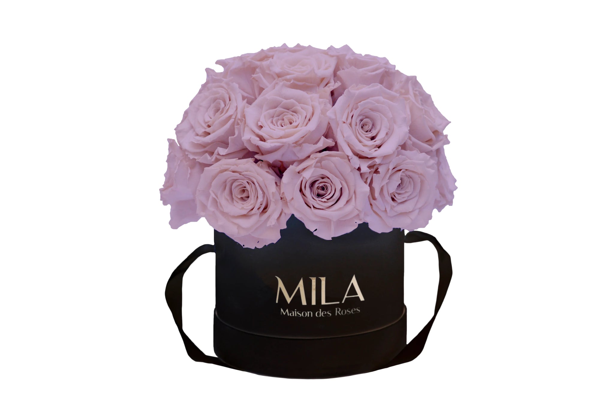 Mila Classique Small Dome - Mila Rose