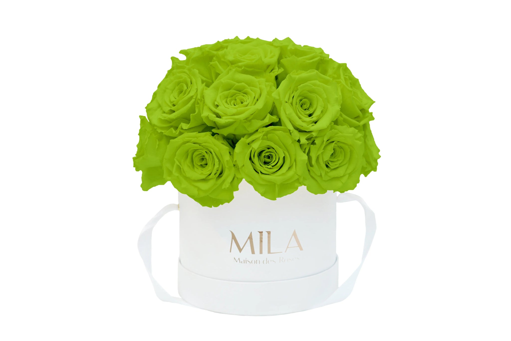 Mila Classique Small Dome - Mila Rose