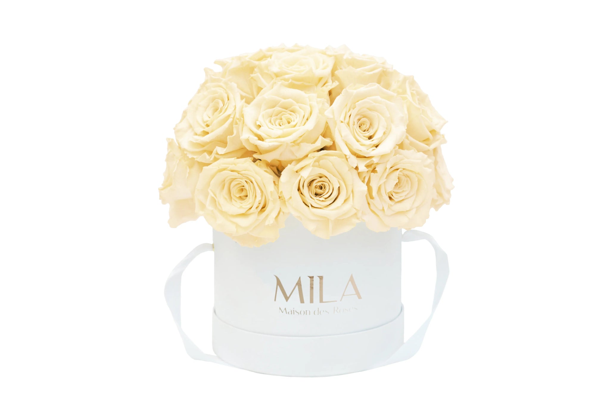 Mila Classique Small Dome - Mila Rose