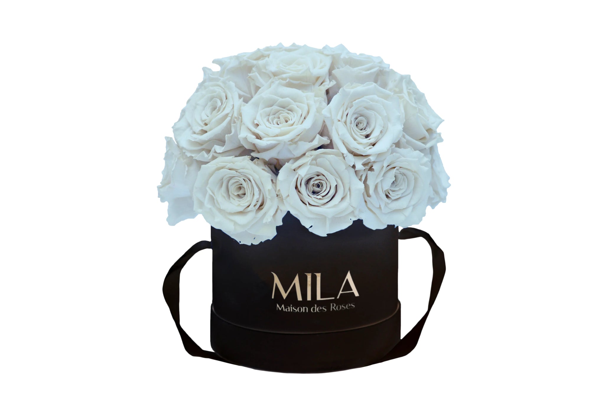Mila Classique Small Dome - Mila Rose