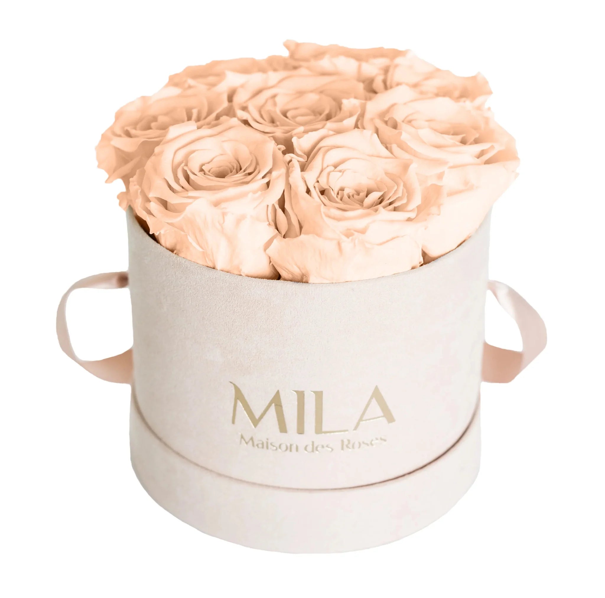 Mila Nude Velvet Small - Mila Rose