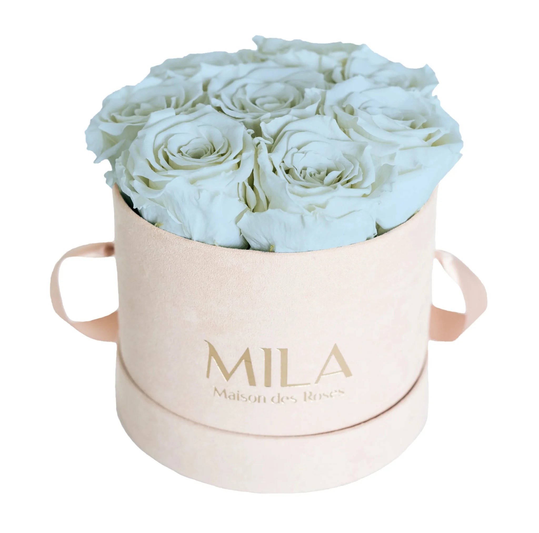 Mila Nude Velvet Small - Mila Rose