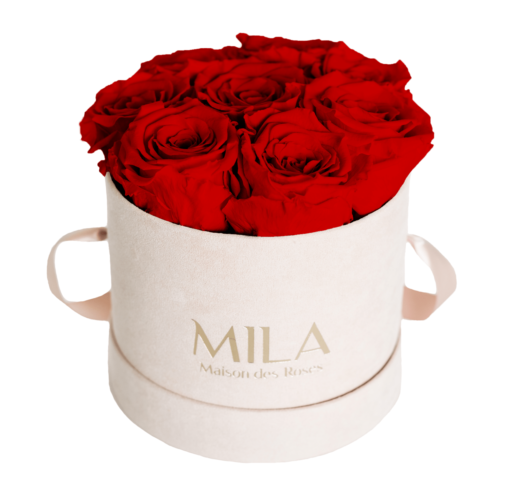 Mila Nude Velvet Small - Mila Rose