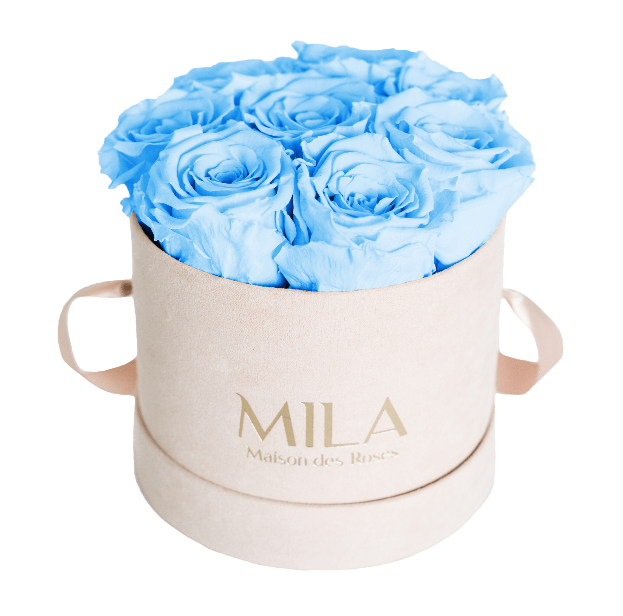 Mila Nude Velvet Small - Mila Rose