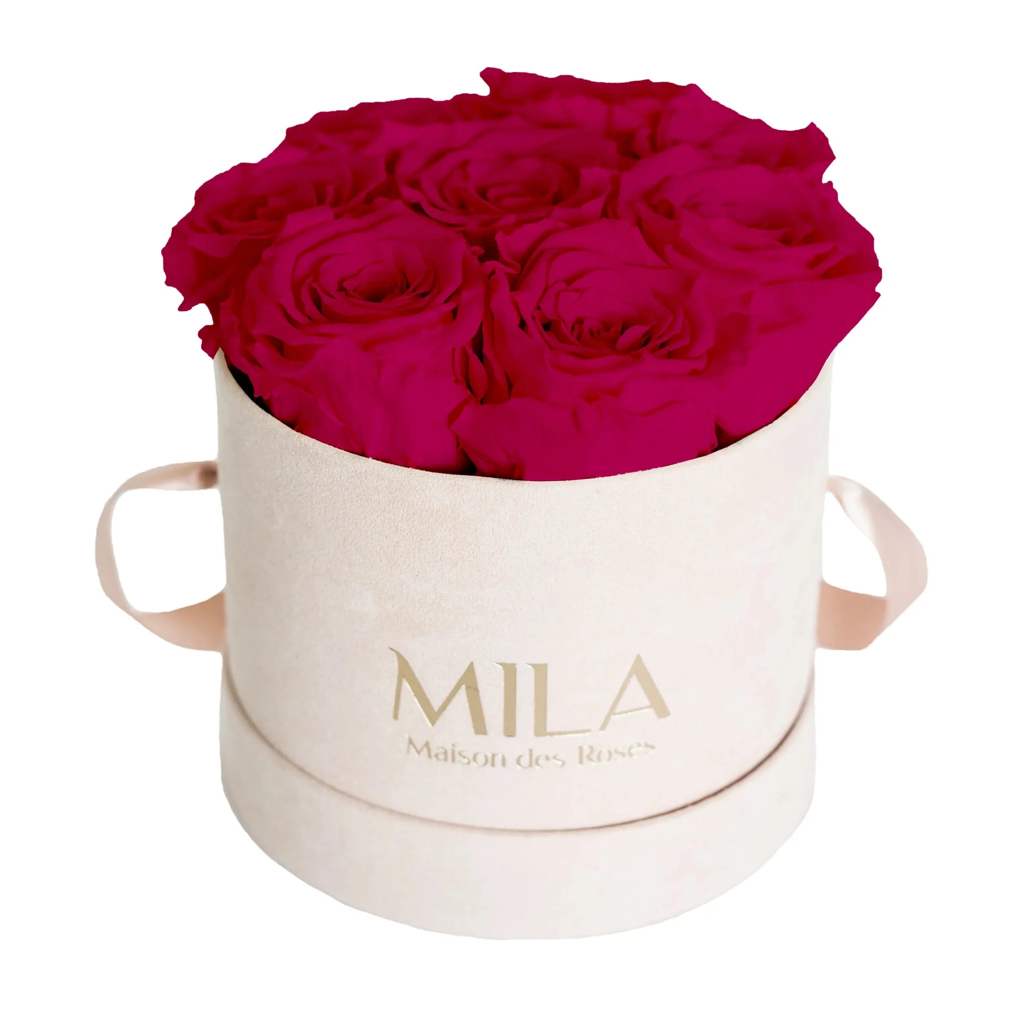 Mila Nude Velvet Small - Mila Rose