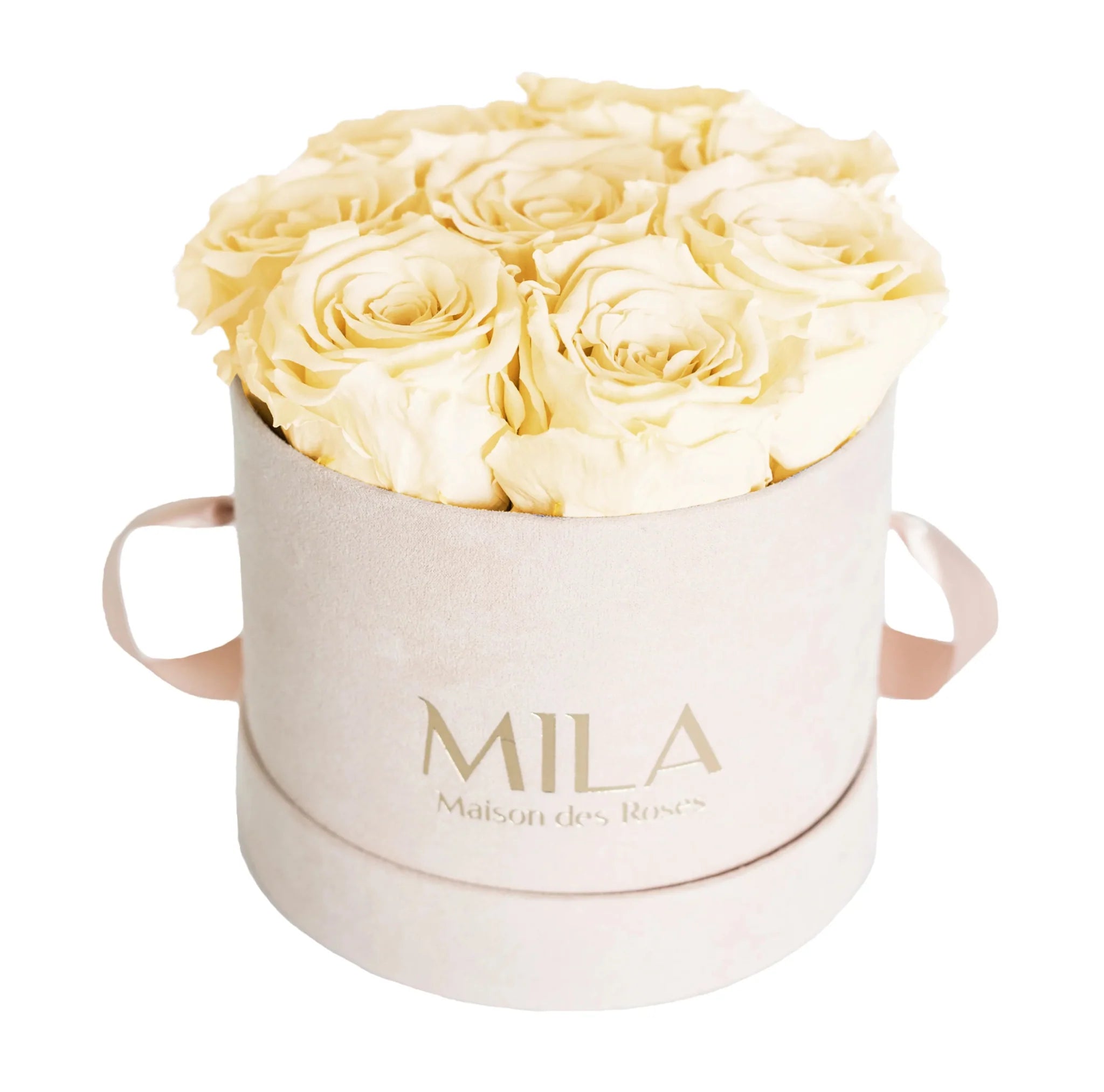 Mila Nude Velvet Small - Mila Rose