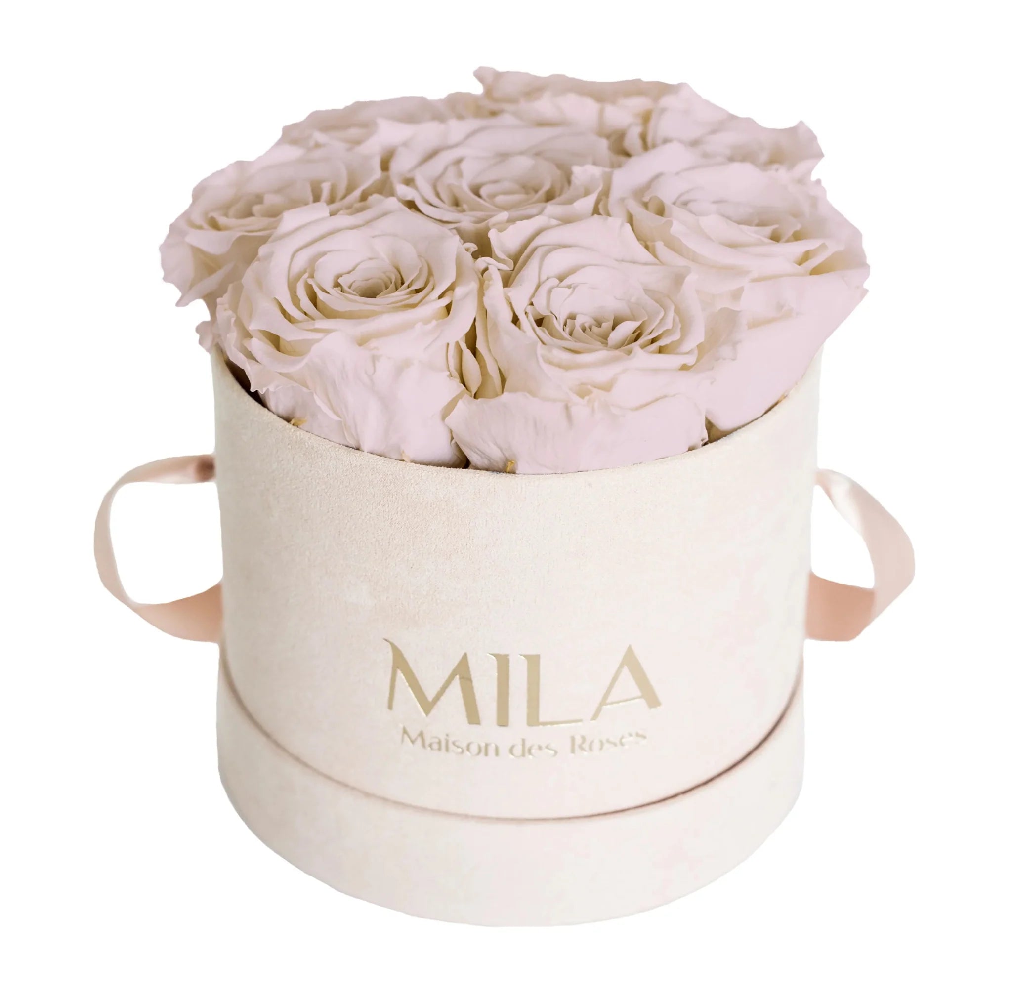 Mila Nude Velvet Small - Mila Rose