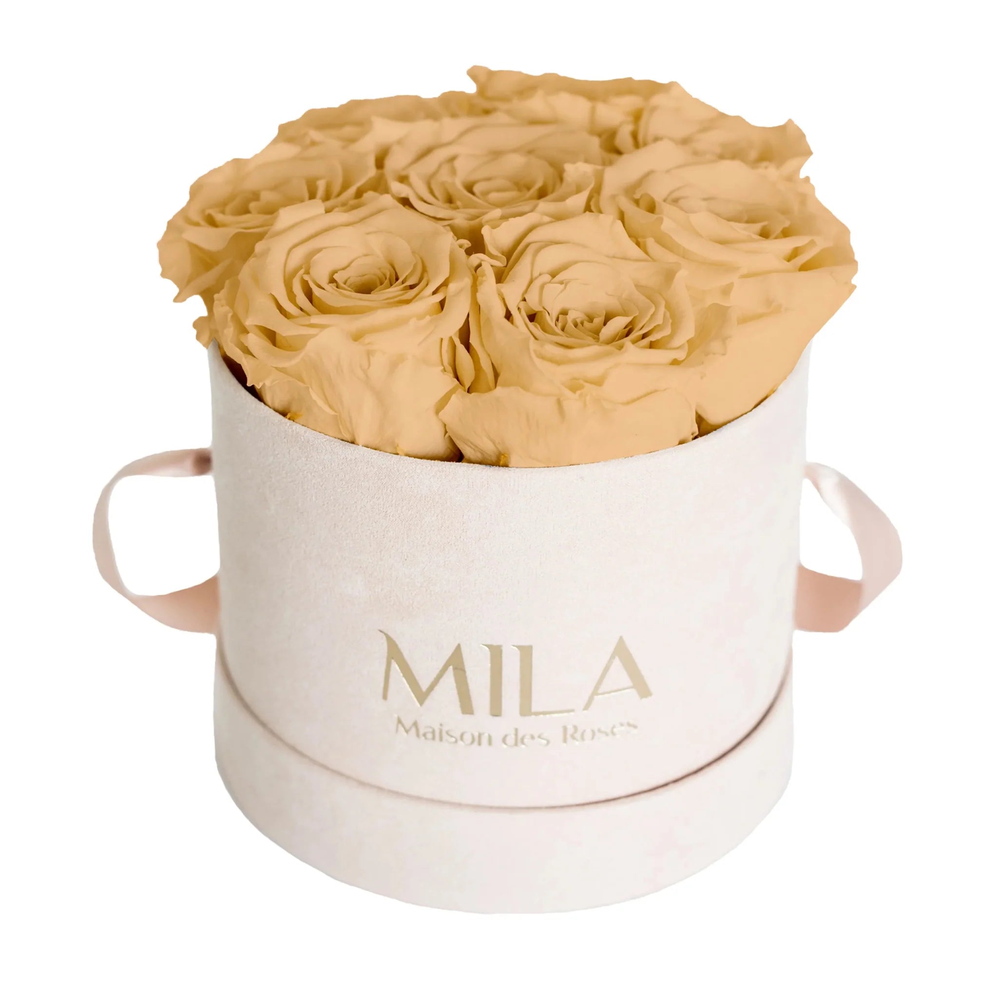 Mila Nude Velvet Small - Mila Rose