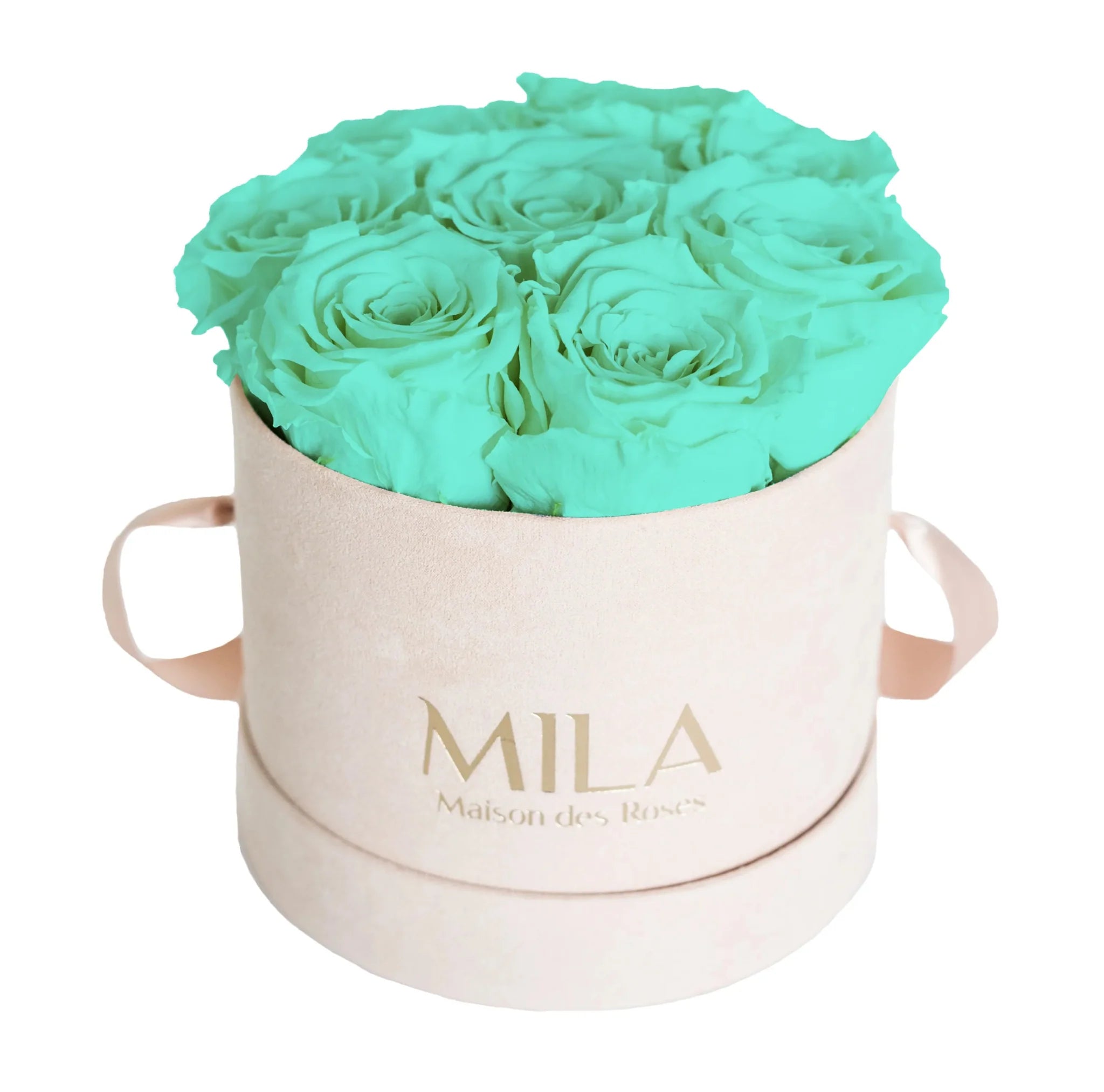 Mila Nude Velvet Small - Mila Rose