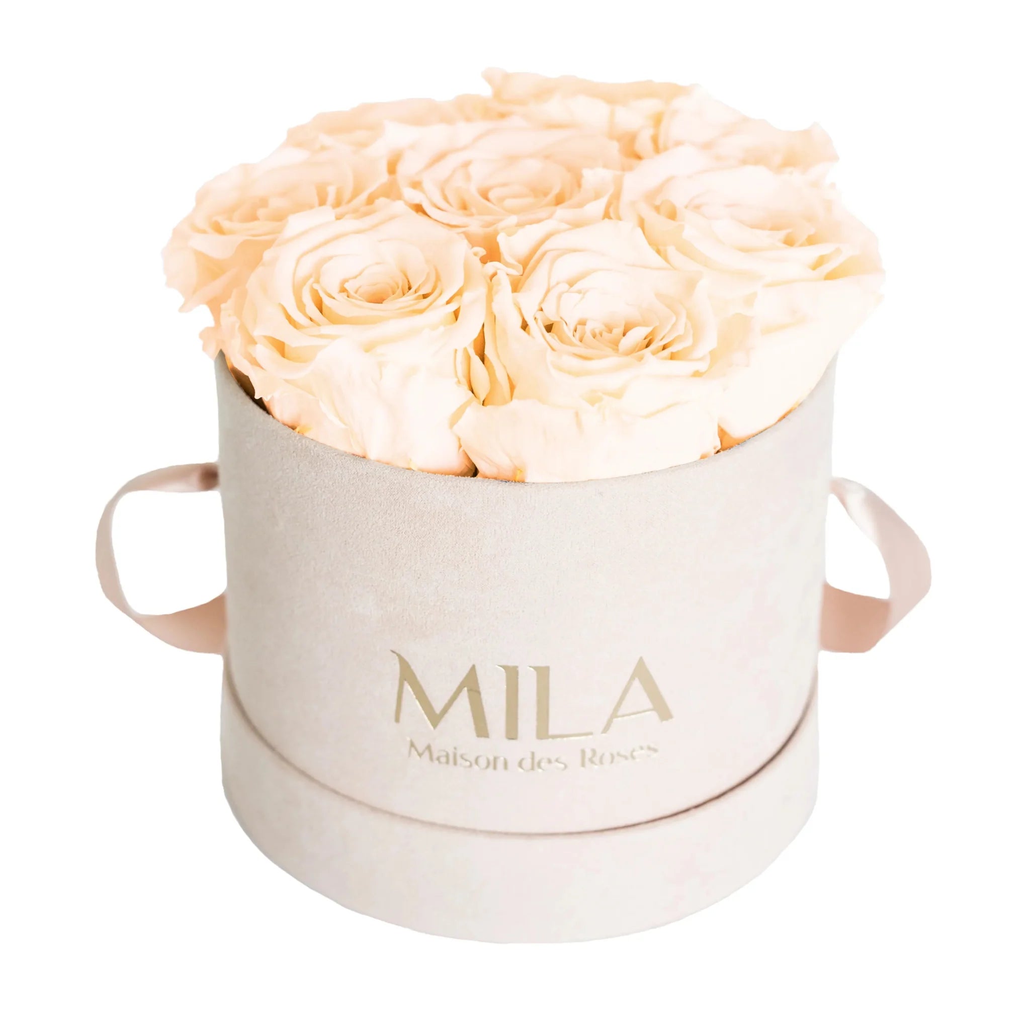 Mila Nude Velvet Small - Mila Rose