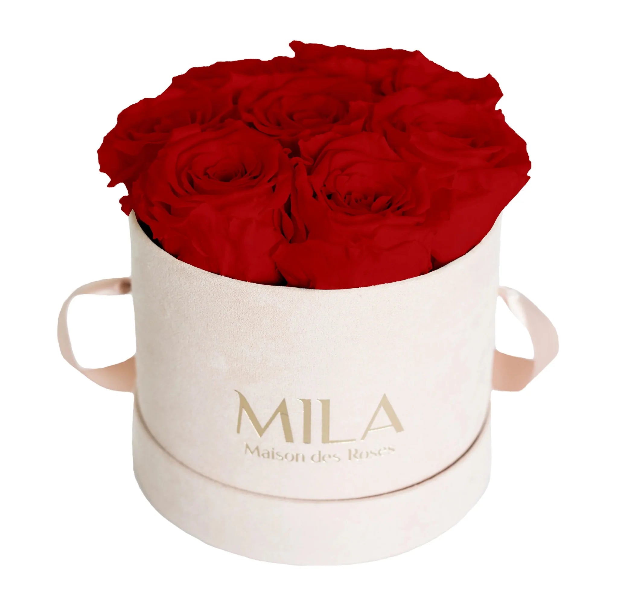 Mila Nude Velvet Small - Mila Rose