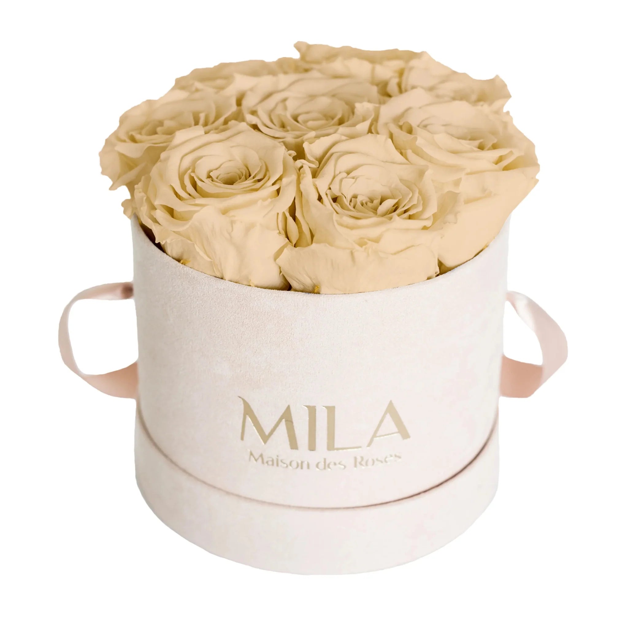 Mila Nude Velvet Small - Mila Rose