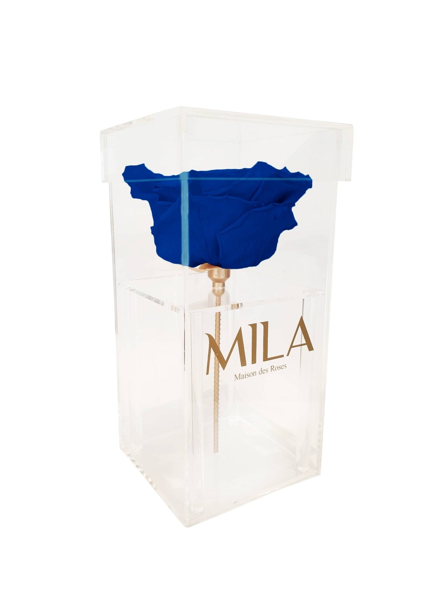 Mila Single XXL - Mila Rose