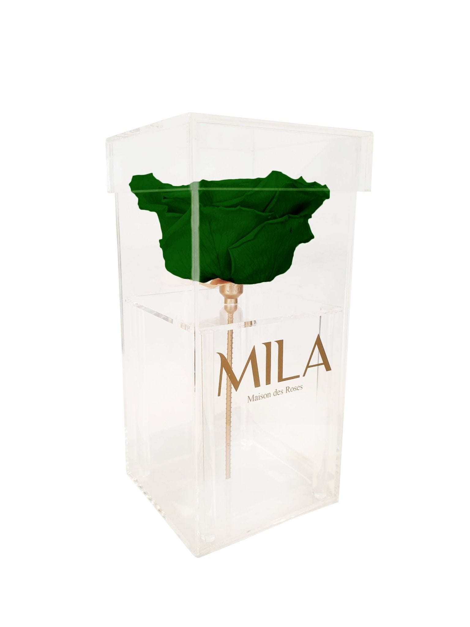 Mila Single XXL - Mila Rose