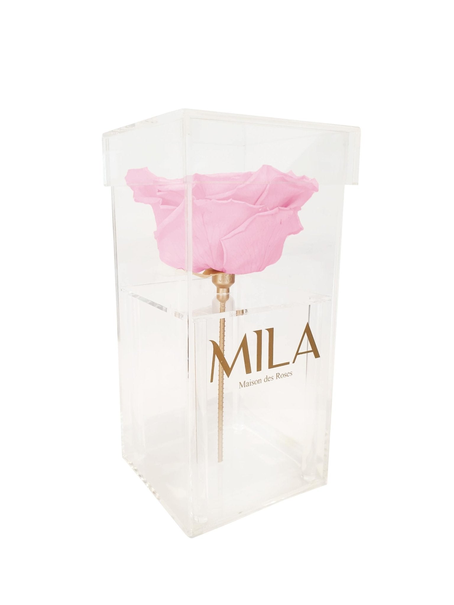 Mila Single XXL - Mila Rose