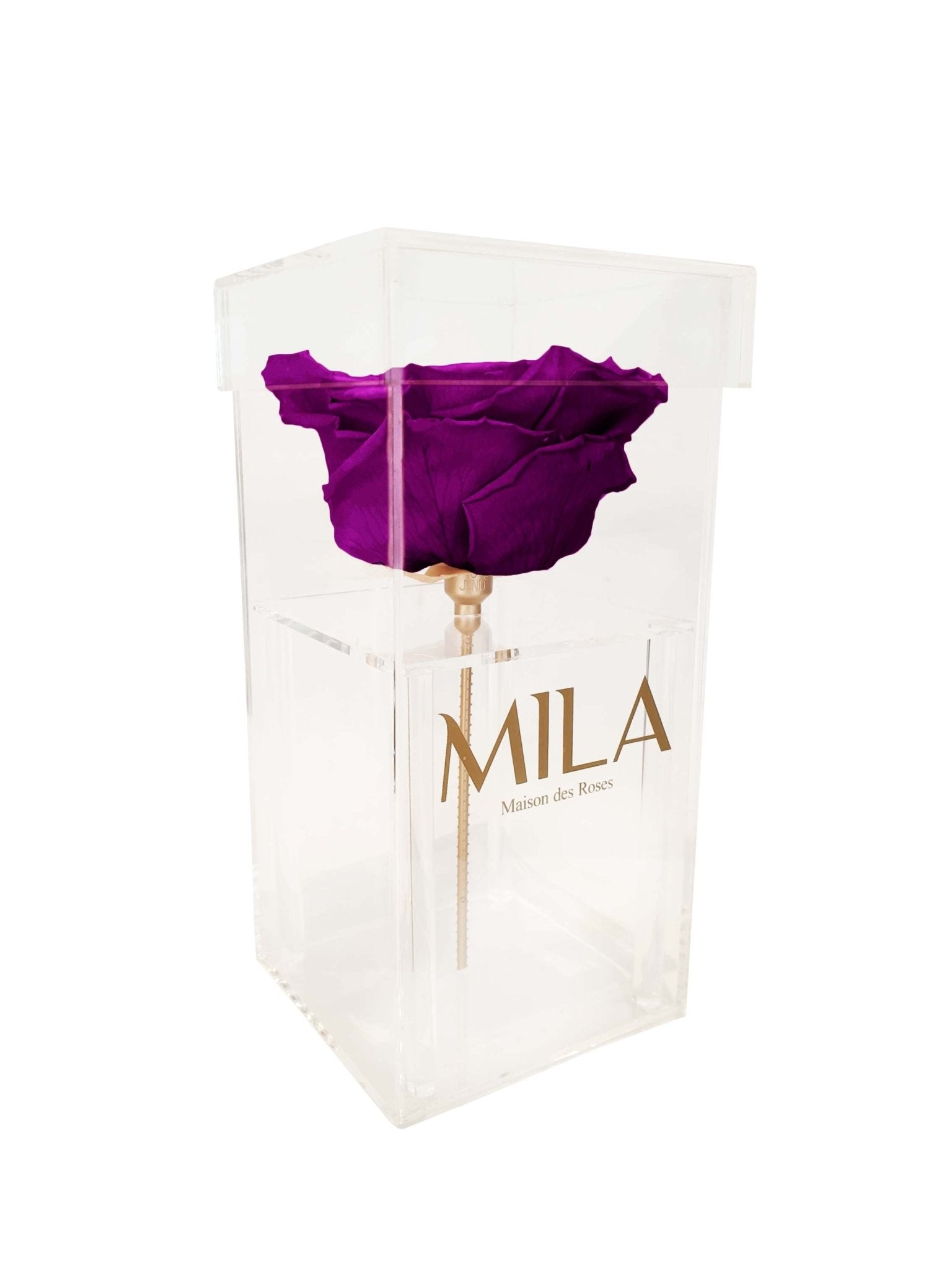 Mila Single XXL - Mila Rose