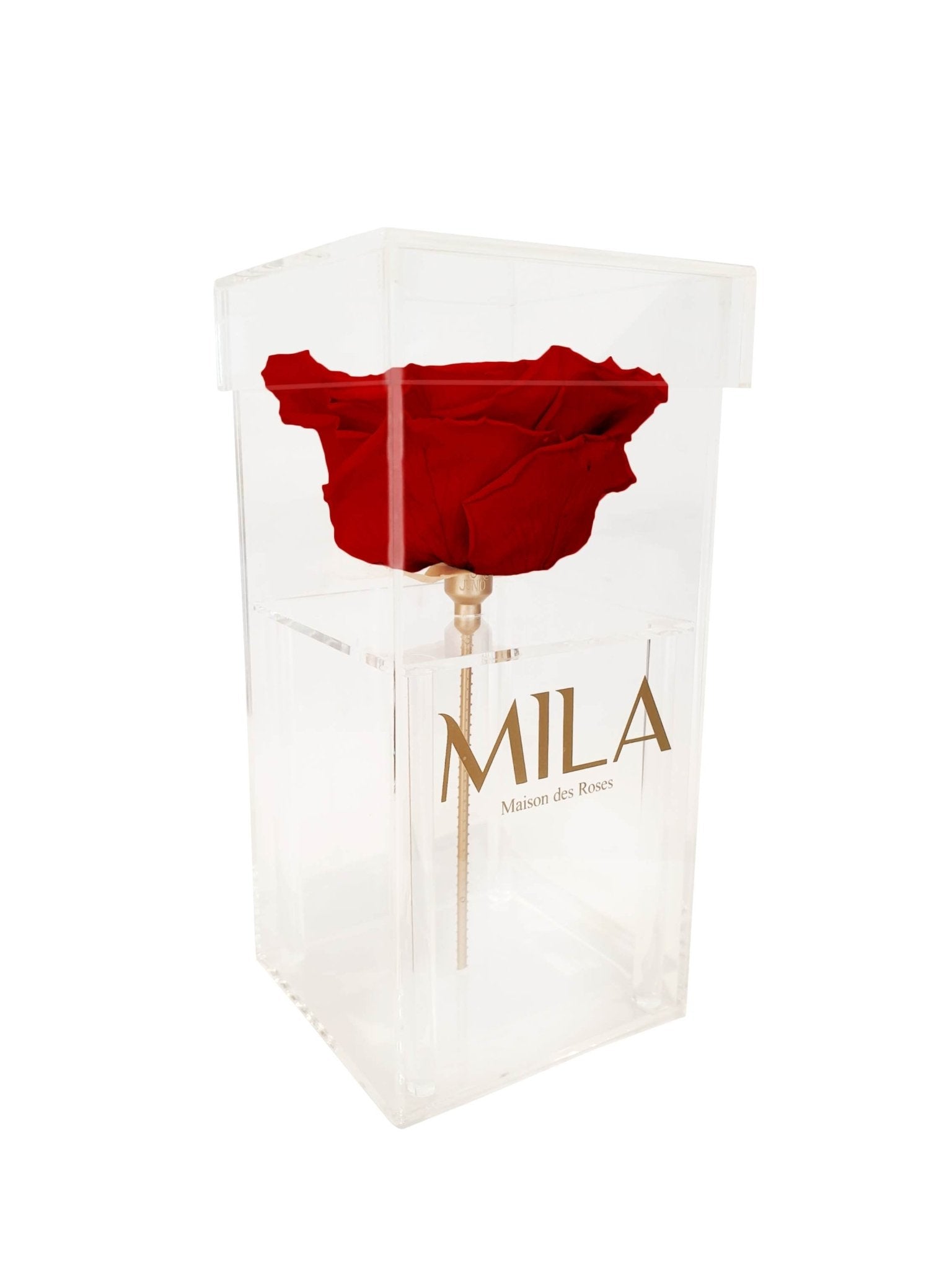 Mila Single XXL - Mila Rose