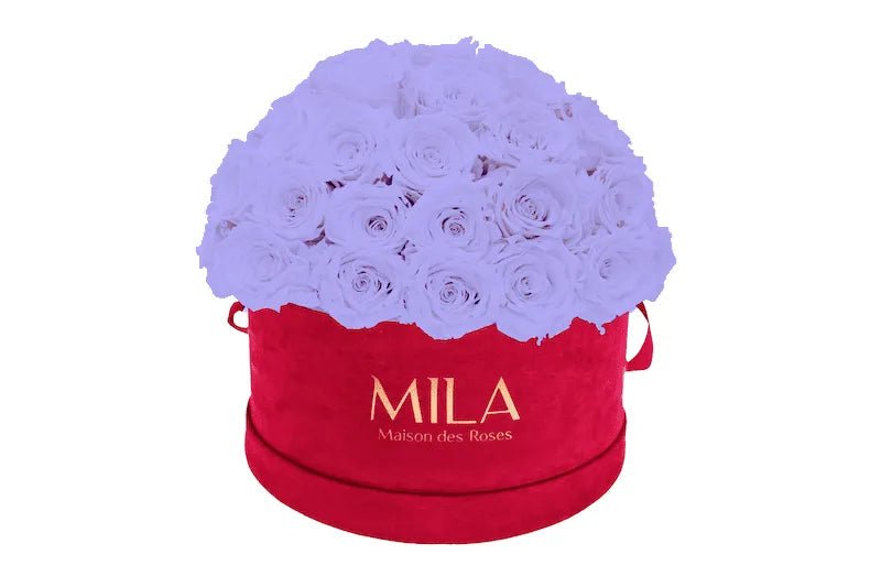 Mila Velour Large burgundy dome - Mila Rose
