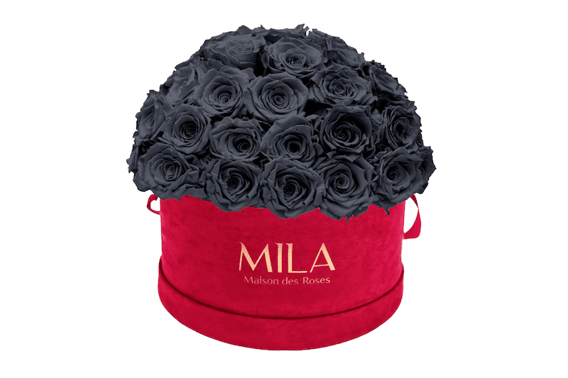 Mila Velour Large burgundy dome - MILA Maison Des Roses
