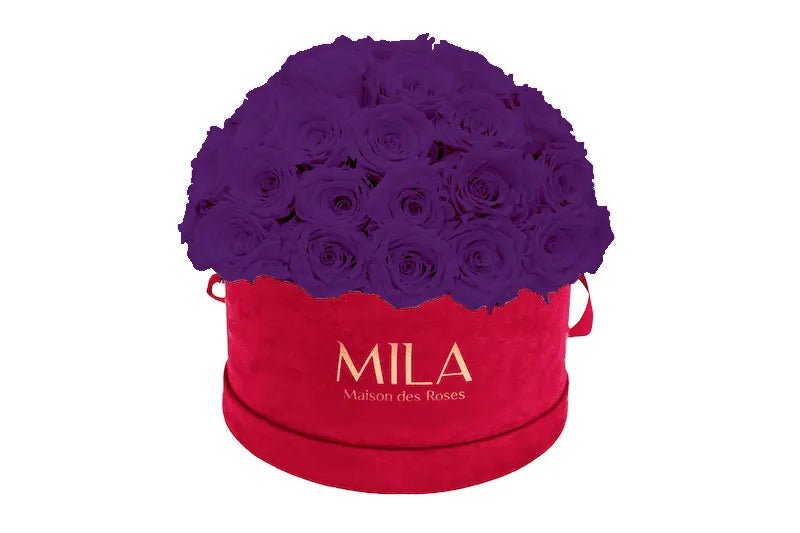 Mila Velour Large burgundy dome - Mila Rose