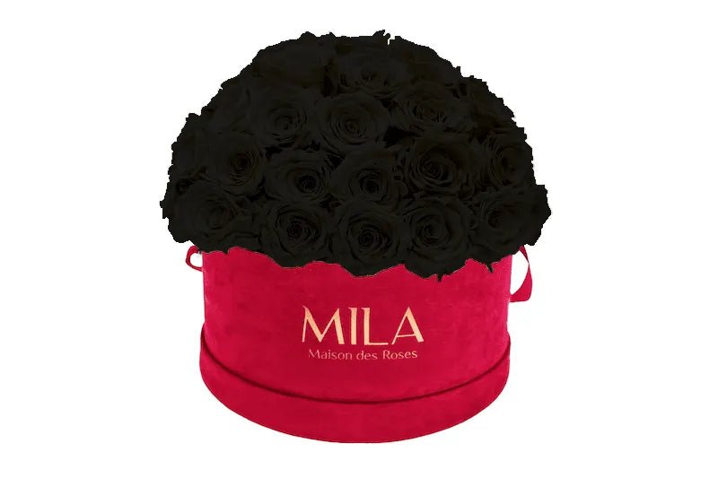 Mila Velour Large burgundy dome - Mila Rose