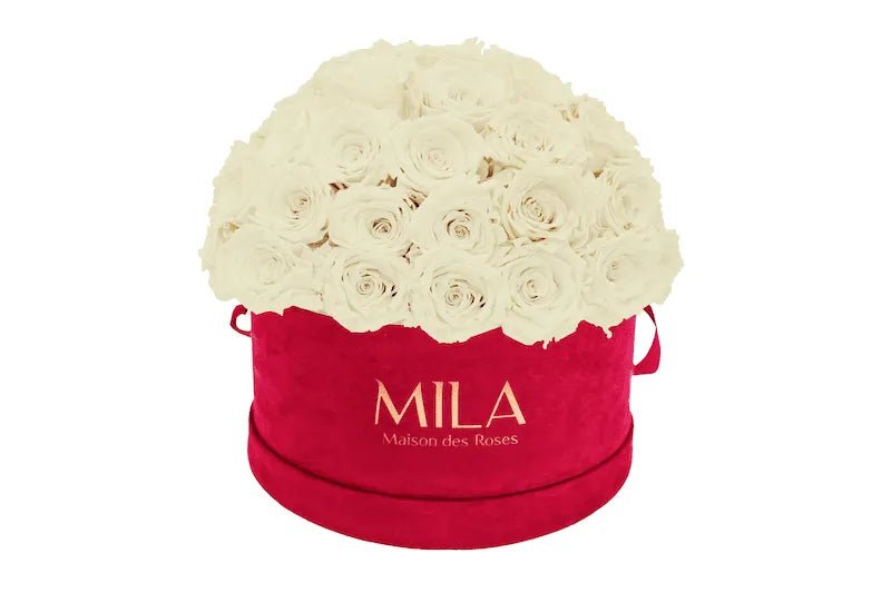 Mila Velour Large burgundy dome - Mila Rose