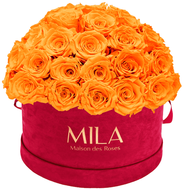 Mila Velour Large burgundy dome - MILA Maison Des Roses