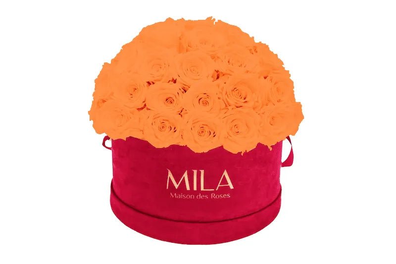 Mila Velour Large burgundy dome - Mila Rose