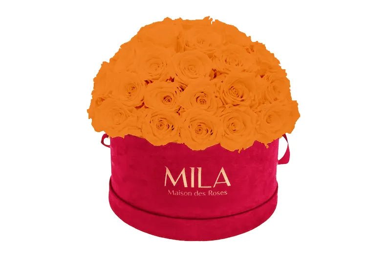 Mila Velour Large burgundy dome - Mila Rose