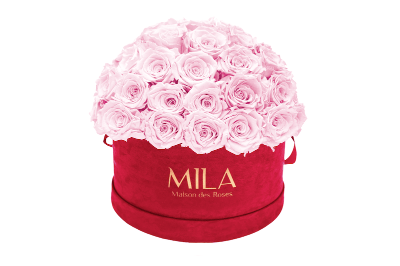 Mila Velour Large burgundy dome - MILA Maison Des Roses