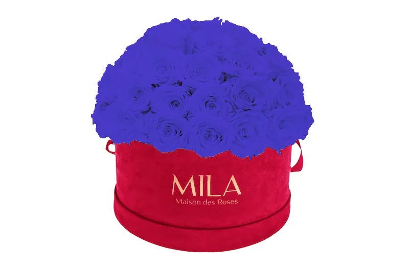 Mila Velour Large burgundy dome - Mila Rose