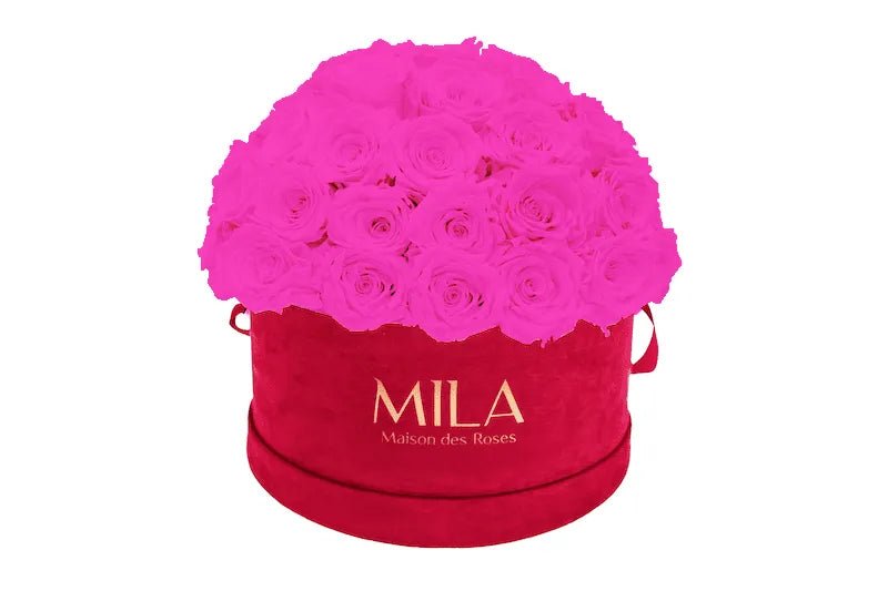 Mila Velour Large burgundy dome - Mila Rose