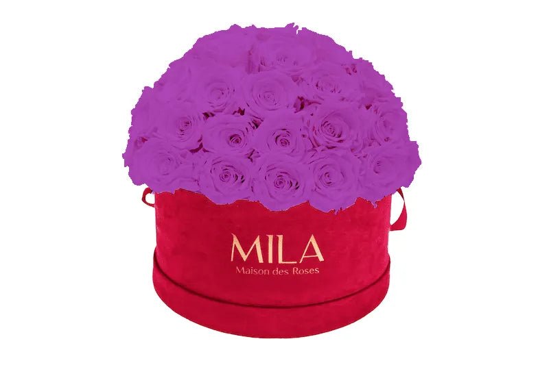 Mila Velour Large burgundy dome - Mila Rose