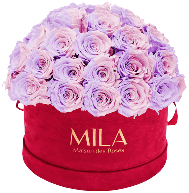 Mila Velour Large burgundy dome - MILA Maison Des Roses