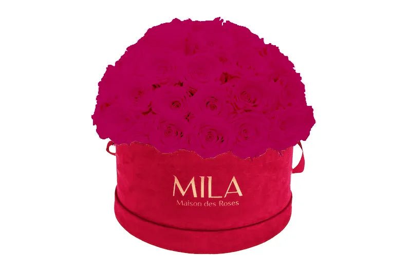Mila Velour Large burgundy dome - Mila Rose
