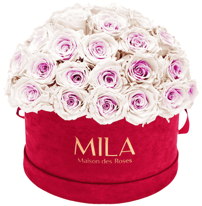 Mila Velour Large burgundy dome - MILA Maison Des Roses