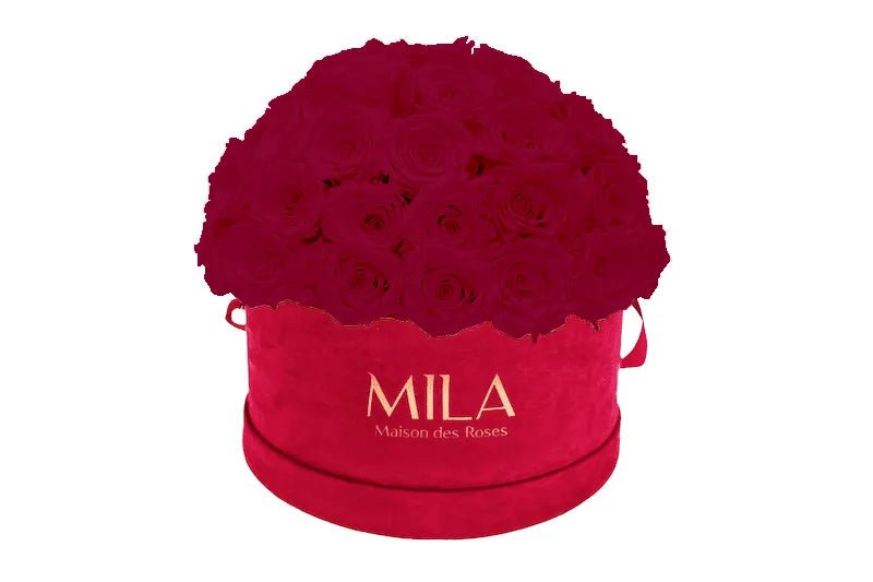 Mila Velour Large burgundy dome - Mila Rose
