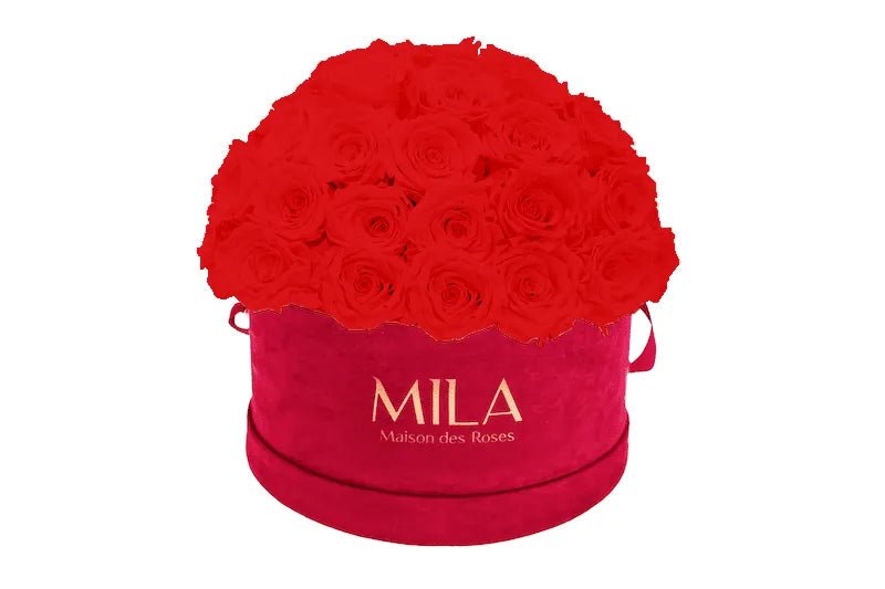Mila Velour Large burgundy dome - Mila Rose