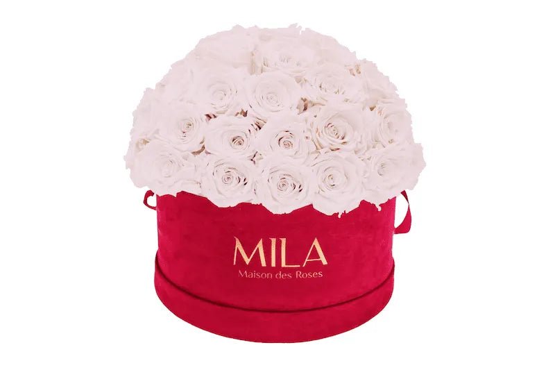 Mila Velour Large burgundy dome - Mila Rose