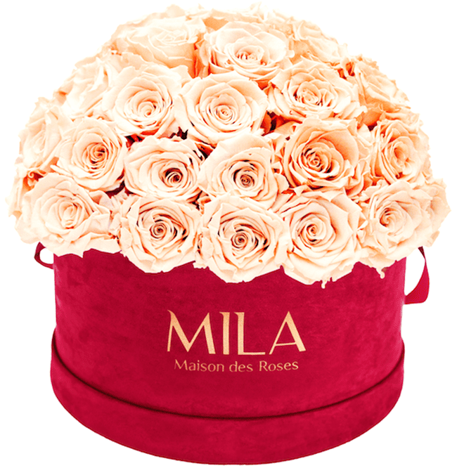 Mila Velour Large burgundy dome - MILA Maison Des Roses
