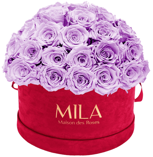 Mila Velour Large burgundy dome - MILA Maison Des Roses