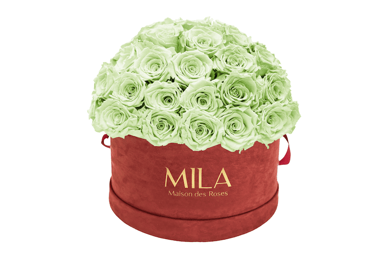 Mila Velour Large burgundy dome - MILA Maison Des Roses